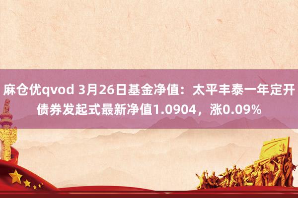麻仓优qvod 3月26日基金净值：太平丰泰一年定开债券发起式最新净值1.0904，涨0.09%