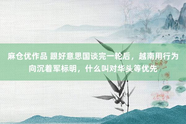 麻仓优作品 跟好意思国谈完一轮后，越南用行为向沉着军标明，什么叫对华头等优先