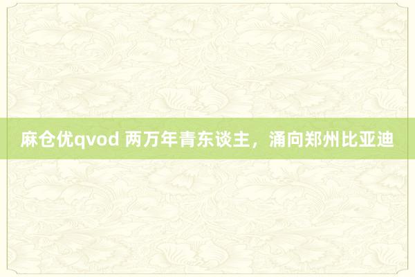 麻仓优qvod 两万年青东谈主，涌向郑州比亚迪