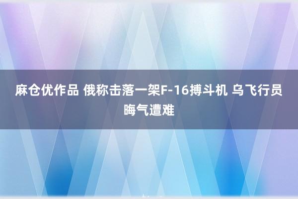 麻仓优作品 俄称击落一架F-16搏斗机 乌飞行员晦气遭难