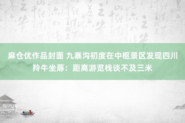 麻仓优作品封面 九寨沟初度在中枢景区发现四川羚牛坐蓐：距离游览栈谈不及三米