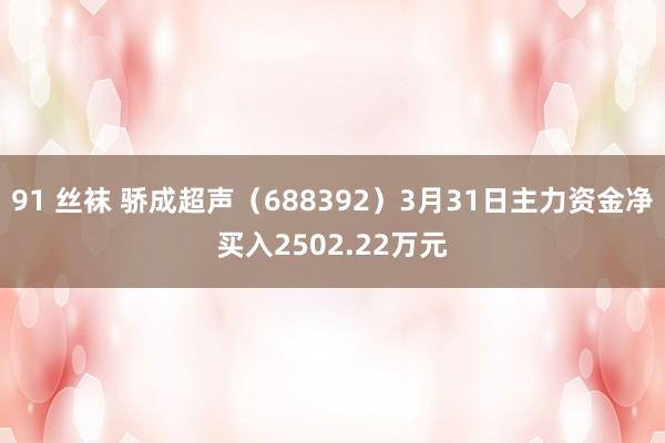 91 丝袜 骄成超声（688392）3月31日主力资金净买入2502.22万元