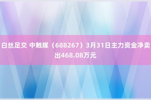 白丝足交 中触媒（688267）3月31日主力资金净卖出468.08万元