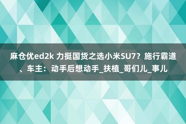 麻仓优ed2k 力挺国货之选小米SU7？施行霸道、车主：动手后想动手_扶植_哥们儿_事儿