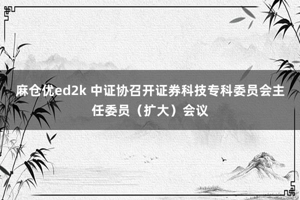麻仓优ed2k 中证协召开证券科技专科委员会主任委员（扩大）会议