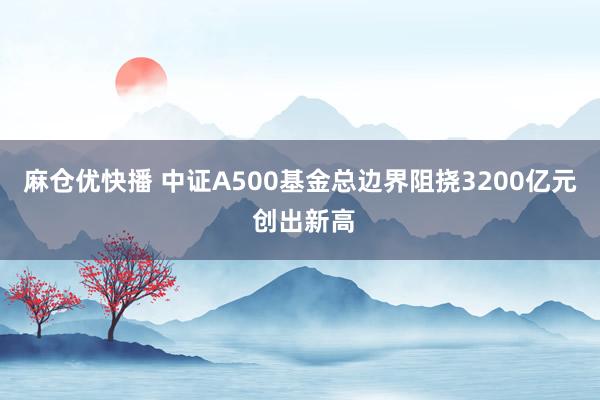 麻仓优快播 中证A500基金总边界阻挠3200亿元 创出新高