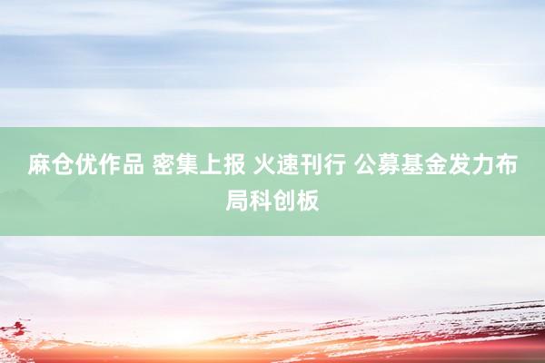 麻仓优作品 密集上报 火速刊行 公募基金发力布局科创板