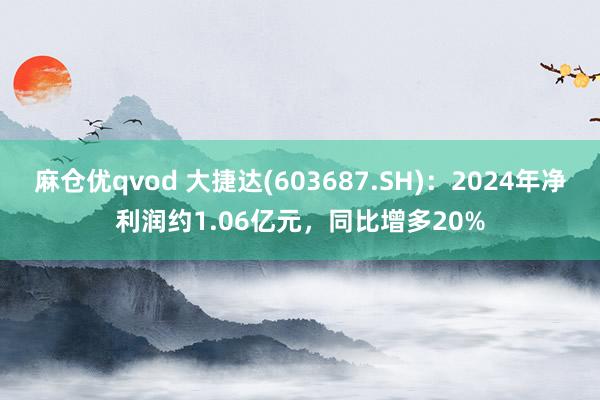 麻仓优qvod 大捷达(603687.SH)：2024年净利润约1.06亿元，同比增多20%