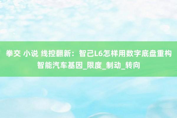 拳交 小说 线控翻新：智己L6怎样用数字底盘重构智能汽车基因_限度_制动_转向
